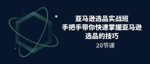 亚马逊选品实战班,手把手带你快速掌握亚马逊选品的技巧(20节课)-KJ分享