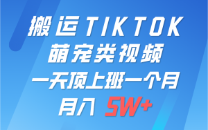 一键搬运TIKTOK萌宠类视频，一部手机即可操作，所有平台均可发布 轻松月入5W+-KJ分享
