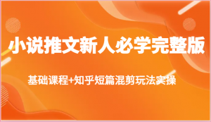 小说推文新人必学完整版，基础课程+知乎短篇混剪玩法实操-KJ分享