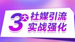 3大社媒引流实战强化,多渠道站外引流,高效精准获客,订单销售额翻倍增长-KJ分享
