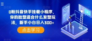 0粉抖音快手挂载小程序，你的脸型适合什么发型玩法，新手小白日入300+-KJ分享