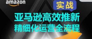 亚马逊高效推新精细化运营全流程,全方位、快速拉升产品排名和销量!-KJ分享