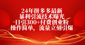 24年拼多多最新暴利引流技术曝光,日引300+付费创业粉,操作简单,流量…-KJ分享