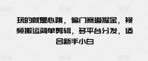 玩的就是心跳，偏门赛道掘金，视频搬运简单剪辑，多平台分发，适合新手小白-KJ分享