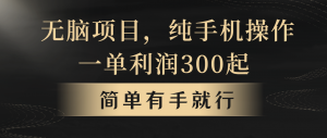 无脑项目，一单几百块，轻松月入5w+，看完就能直接操作-KJ分享