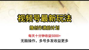 视频号最新玩法，每日一小时月入5000+-KJ分享