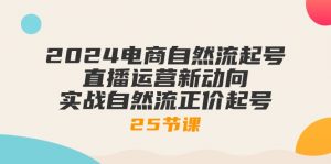 2024电商自然流起号，直播运营新动向 实战自然流正价起号（25节课）-KJ分享