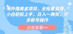 海外撸美金项目，全程看直播，小白轻松上手，日入一两张，可多账号操作-KJ分享