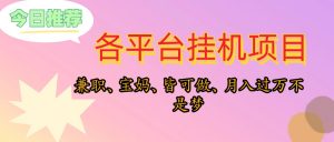 靠挂机,在家躺平轻松月入过万,适合宝爸宝妈学生党,也欢迎工作室对接-KJ分享