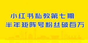 (10650期）小红书-私教第七期，小红书90天涨粉18w，1周涨粉破万 半年矩阵号粉丝破百万-KJ分享