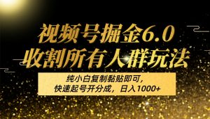 视频号掘金6.0收割所有人群玩法！纯小白复制黏贴即可，快速起号开分成，日入1000+-KJ分享