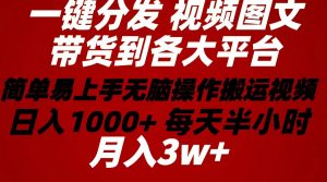 2024年 一键分发带货图文视频 简单易上手 无脑赚收益 每天半小时日入1…-KJ分享