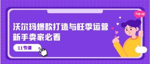 沃尔玛爆款打造与旺季运营,新手卖家必看(11节视频课)-KJ分享