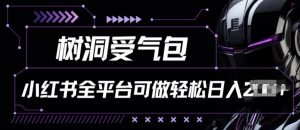 小红书等全平台树洞受气包项目，轻松日入一两张-KJ分享