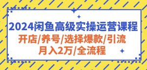 2024闲鱼高级实操运营课程：开店/养号/选择爆款/引流/月入2万/全流程-KJ分享