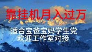 每天躺着日入几百挂机项目,适合宝爸宝妈学生党工作室对接-KJ分享