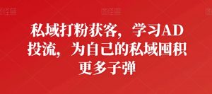 私域打粉获客,学习AD投流,为自己的私域囤积更多子弹-KJ分享