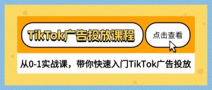 TikTok广告投放课程,从0-1实战课,带你快速入门TikTok广告投放(30节课)-KJ分享