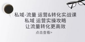 私域-流量 运营&转化实操课:私域 运营实操攻略 让流量转化更高效-KJ分享