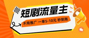短剧流量主,不用推广,一单1-5元,一个小时200+秒到账-KJ分享