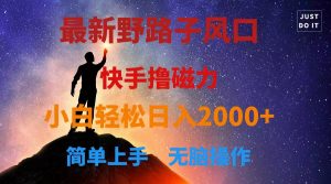 最新风口!快手撸磁力,野路子,小白无脑操作日入2000+-KJ分享