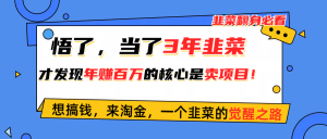 悟了,当了3年韭菜,才发现网赚圈年赚100万的核心是卖项目,含泪分享!-KJ分享