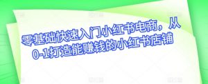 零基础快速入门小红书电商，从0-1打造能赚钱的小红书店铺-KJ分享