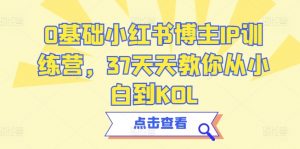 0基础小红书博主IP训练营，37天天教你从小白到KOL-KJ分享