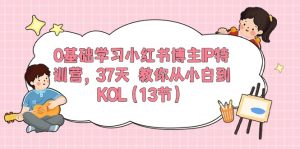 0基础学习小红书博主IP特训营【第5期】，37天教你从小白到KOL（13节）-KJ分享