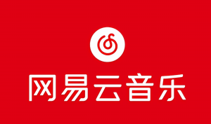 网易音乐人2024.5月最新教程，简单无脑，收益第二天可见-KJ分享