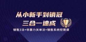 从小新手到销冠 三合一速成:销售3法+非暴力关单法+销售系统挖需课 (27节)-KJ分享
