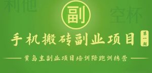 手机搬砖小副业项目训练营1.0,能用手机做的简单小副业-KJ分享