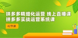 拼多多精细化运营 线上直播课：拼多多实战运营系统课（更新47节）-KJ分享