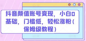 抖音颜值账号变现,小白0基础,门槛低,轻松涨粉(保姆级教程)-KJ分享