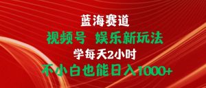 蓝海赛道视频号 娱乐新玩法每天2小时小白也能日入1000+-KJ分享