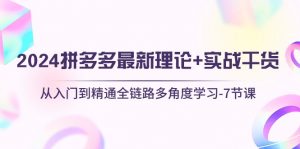 2024拼多多 最新理论+实战干货,从入门到精通全链路多角度学习-7节课-KJ分享