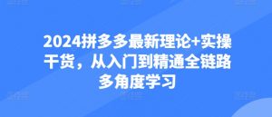 2024拼多多最新理论+实操干货，从入门到精通全链路多角度学习-KJ分享