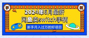 2024年6月最新闲鱼卖switch游戏手柄,新手月入过万的第一个好项目-KJ分享