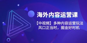 海外内容 运营课【中视频】多种内容运营玩法 风口正当时 掘金好时机-101节-KJ分享
