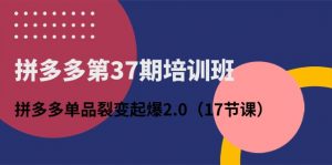 拼多多第37期培训班:拼多多单品裂变起爆2.0(17节课)-KJ分享
