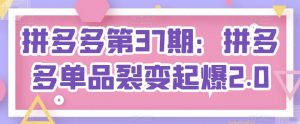 拼多多第37期:拼多多单品裂变起爆2.0-KJ分享