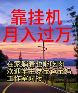 靠挂机,日入1000+,躺着也能吃肉,适合宝爸宝妈学生党工作室,电脑手…-KJ分享