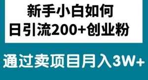 新手小白日引流200+创业粉,通过卖项目月入3W+-KJ分享