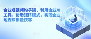 企业短视频钩子课，利用企业AI工具，借助矩阵模式，实现企业短视频批量获客-KJ分享