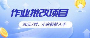 作业批改项目30元/时,简单小白轻松入手,非常适合兼职-KJ分享