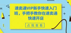 速卖通VIP新手快速入门班，手把手教你在速卖通快速开店-KJ分享