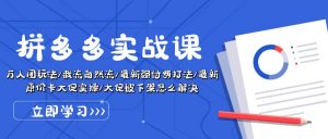 拼多多·实战课：万人团玩法/截流自然流/最新强付费打法/最新原价卡大促..-KJ分享