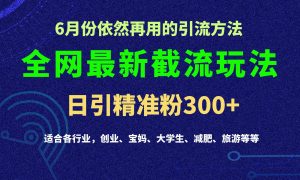 2024全网最新截留玩法,每日引流突破300+-KJ分享