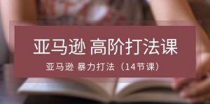 亚马逊高阶打法课，亚马逊暴力打法（14节视频课）-KJ分享