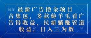 最新广告撸金项目合集包，多款薅羊毛看广告收益 拉新管道收益，日入三为数-KJ分享